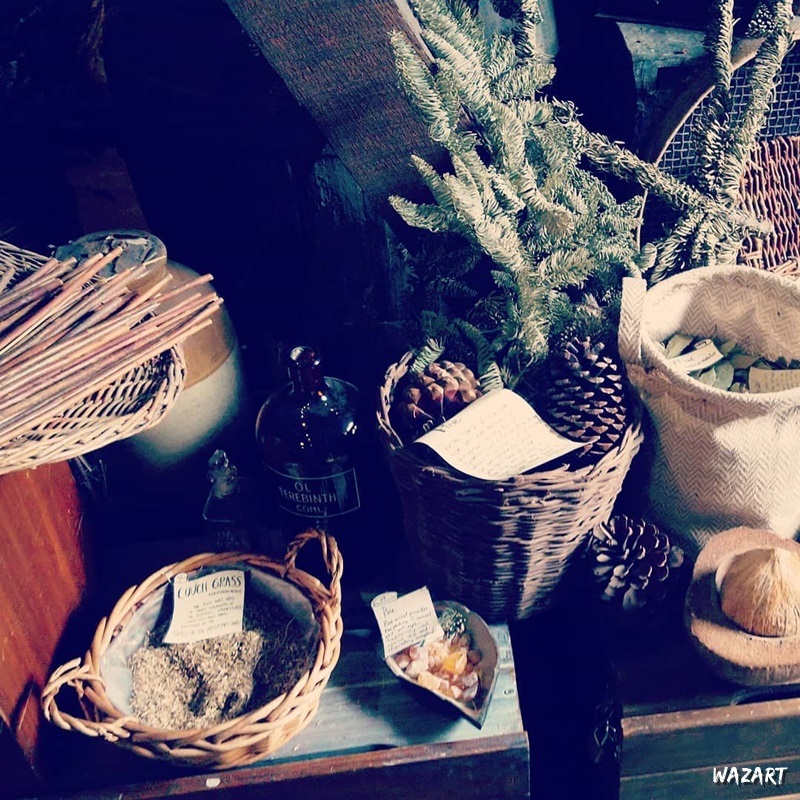 herbes et pommes de pin au old operating theatre